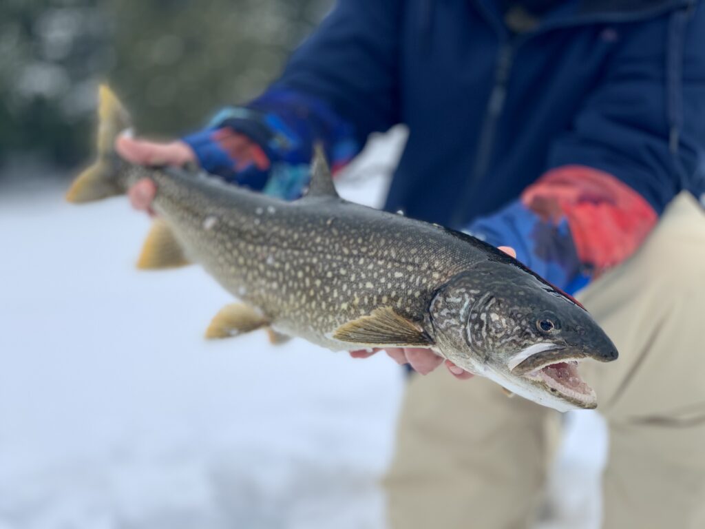 Ice Fishing in the adirondacks for lake trout, pike, bass, panfish, walleye and salmon!