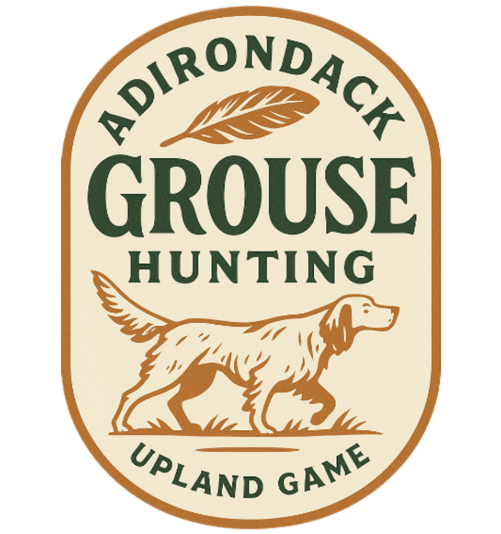Adirondack Grouse Hunting