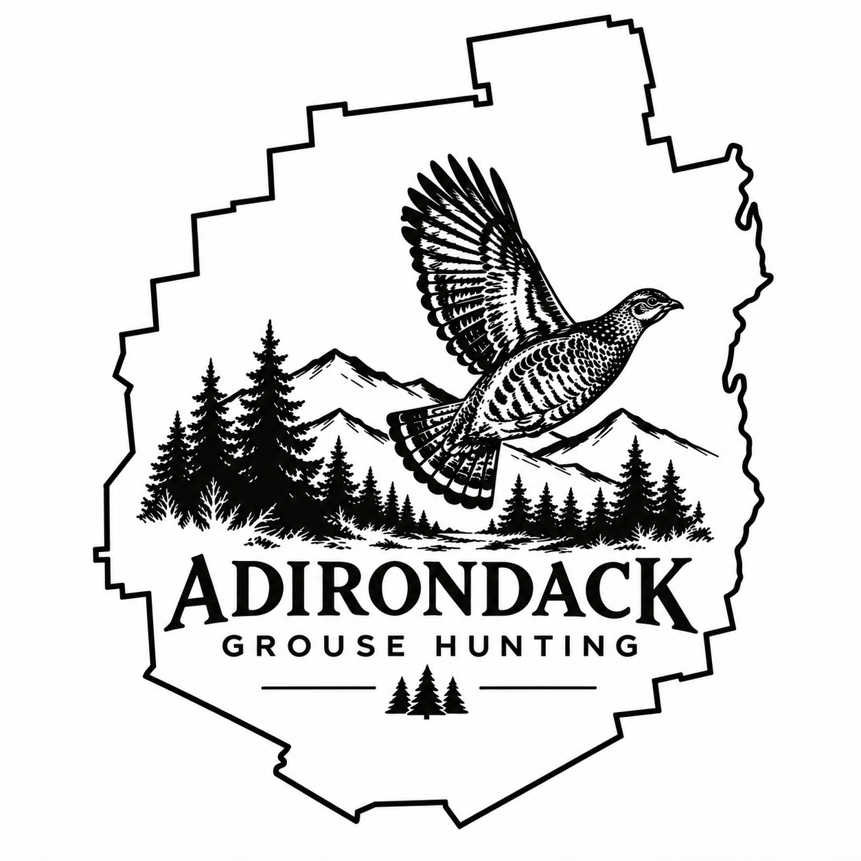 Adirondack Grouse Hunting